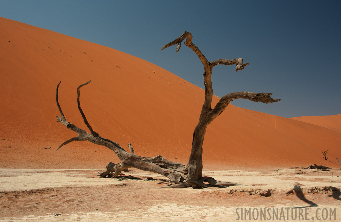 Namib-Naukluft National Park [32 mm, 1/200 Sek. bei f / 13, ISO 400]